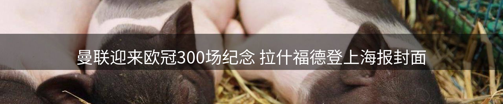 焦点要闻